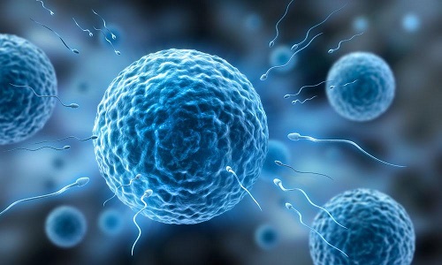 精子成活率只有百分之十可以做试管助孕吗？