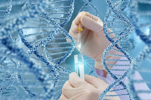精子畸形率＞99% 美国试管婴儿专家浅谈IVF技术选择
