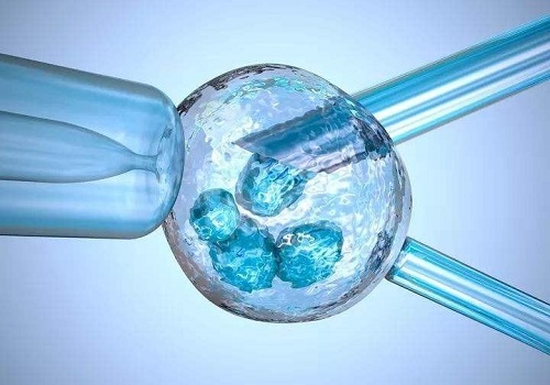 2019选择去做泰国试管婴儿的费用是多少？