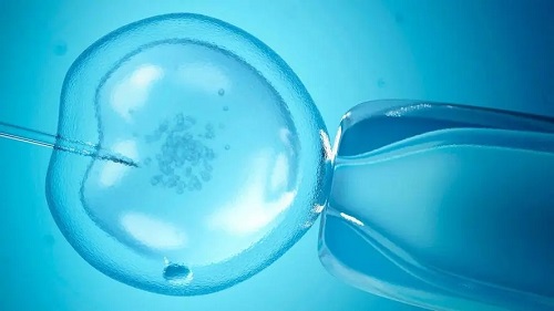 美国做试管费用多少钱能成功