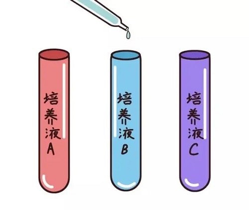 2019最新泰国试管婴儿详细流程攻略上线