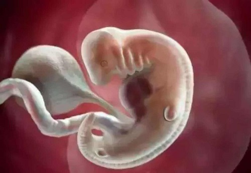 精子活力低赴泰试管婴儿的助孕治疗方案是怎样的？