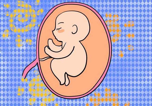 2021泰国助孕生子费用会下降吗？答案来了