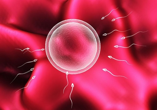 输卵管堵塞挡住好孕 美国试管婴儿如何实现生育计划？