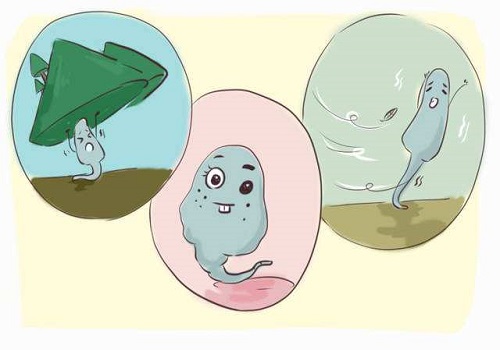 黄体功能不全的患者做试管婴儿的成功率怎么样？