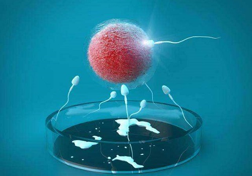 试管取卵后的激素变化是怎样的？