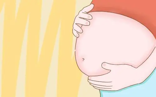 试管的秘密你知道多少？