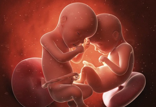 试管婴儿中囊胚是胚胎体外培养的终末阶段，那么试管婴儿中为什么要培养囊胚，有什么优点呢？囊胚培养术就是试管婴儿中的一大重要的技术，囊胚培养能增加试管婴儿的着床率，能帮助众多不孕不育家庭降低风险，提高了试