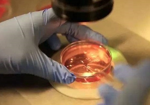 试管婴儿三代大概多少钱