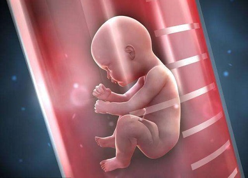 2020年泰国的试管婴儿成功率排名情况