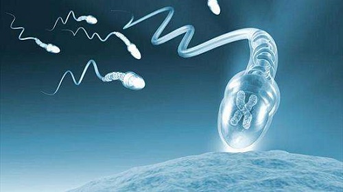 第三代试管能解决染色体遗传病吗