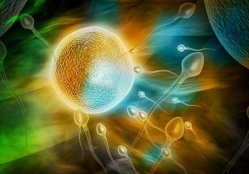 2020年泰国试管婴儿费用明细情况
