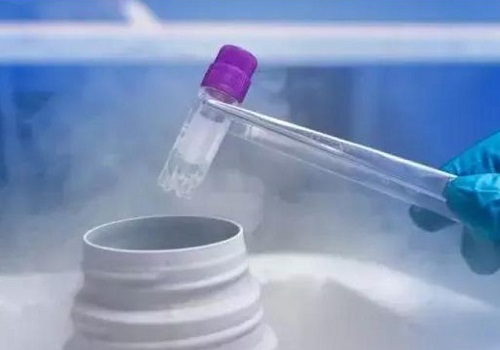 黄体功能不足必须进行试管吗？有什么方法？