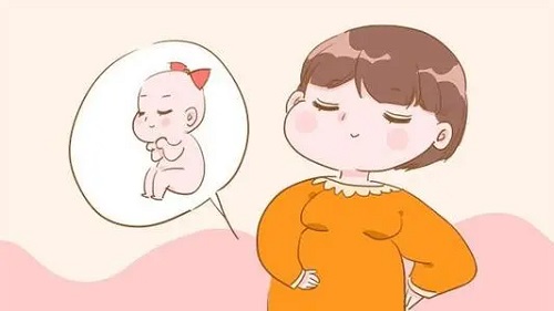 去泰国做试管婴儿的价格贵吗？需要多少钱？